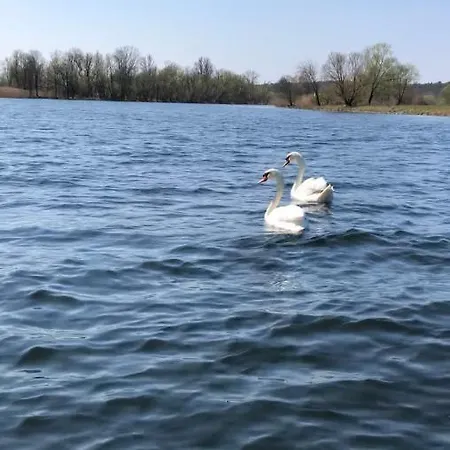 Schuwardt Auf Nordend شقة *