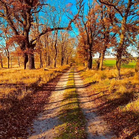 Schuwardt Auf Nordend *