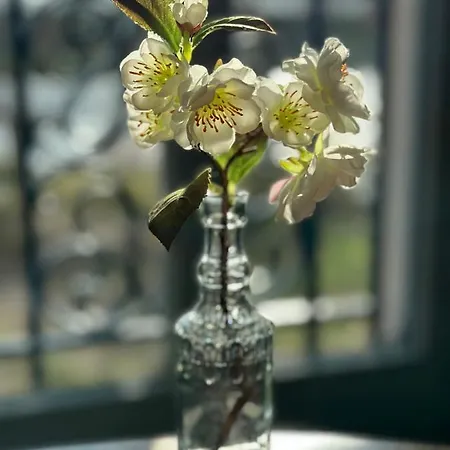 Schuwardt Auf Nordend Ратенов