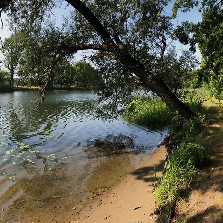 Schuwardt Auf Nordend *