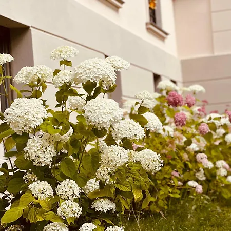 Schuwardt Auf Nordend Апартаменты