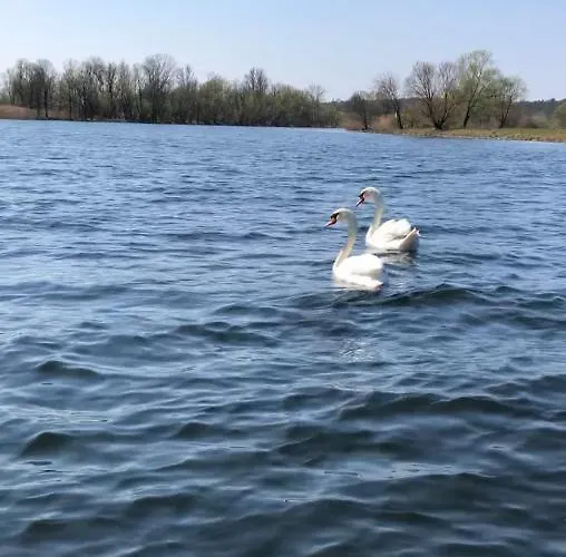 Schuwardt Auf Nordend شقة *