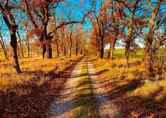 Schuwardt Auf Nordend *