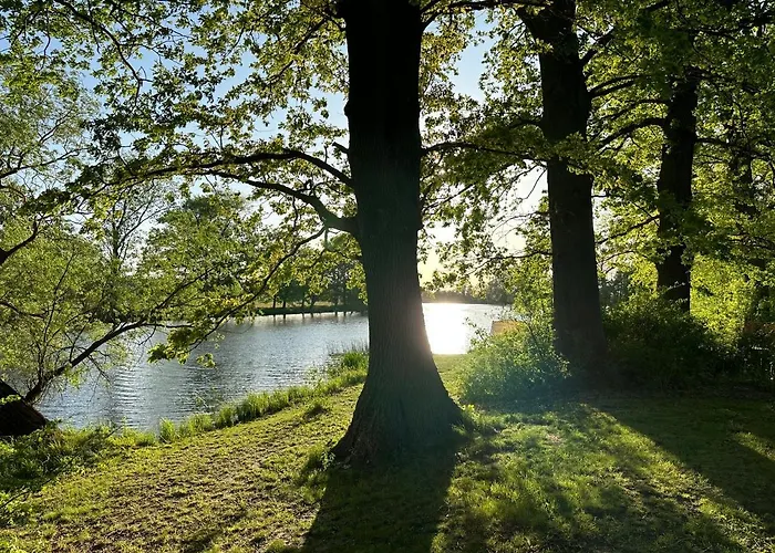 Schuwardt Auf Nordend *