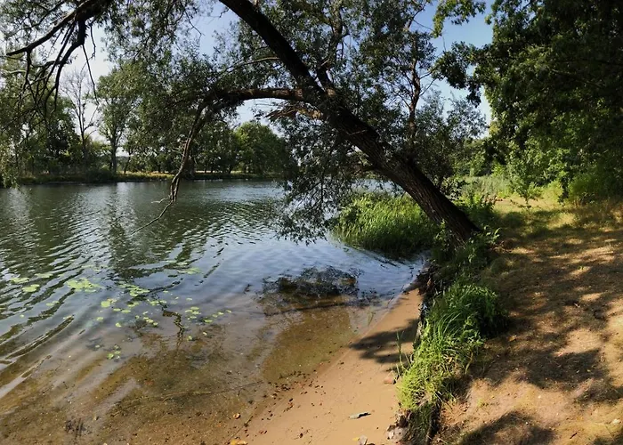 Schuwardt Auf Nordend *