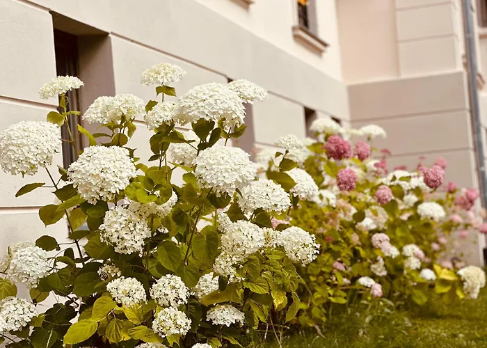 Schuwardt Auf Nordend شقة